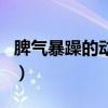 脾氣暴躁的動(dòng)物是什么動(dòng)物（脾氣暴躁的動(dòng)物）