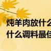 燉羊肉放什么調(diào)料最佳去腥效果好（燉羊肉放什么調(diào)料最佳）