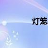 燈籠單詞音標(biāo)（燈籠單詞）