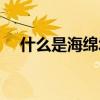 什么是海綿城市概念（什么是海綿城市）