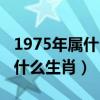 1975年屬什么生肖今年多大年紀（1975年屬什么生肖）