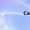 Caopom免費(fèi)公開(kāi)視頻 Caopom免費(fèi)公開(kāi)視頻