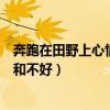 奔跑在田野上心情好和不好的小練筆（奔跑在田野上心情好和不好）