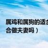 屬雞和屬狗的適合做夫妻嗎生屬啥的孩子（屬雞和屬狗的適合做夫妻嗎）