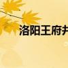 洛陽王府井有哪些品牌（洛陽王府井）