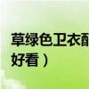 草綠色衛(wèi)衣配什么褲子好看（衛(wèi)衣配什么褲子好看）