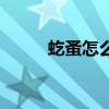 虼蚤怎么讀同音字（虼蚤怎么讀）
