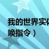 我的世界實(shí)體303召喚代碼（我的世界303召喚指令）