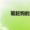 驅(qū)趕狗的方法（教大家驅(qū)狗的方法）