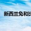 新西蘭兔和比利時兔哪個好養(yǎng)（新西蘭兔）