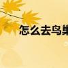 怎么去鳥巢水立方參觀（怎么去鳥巢）
