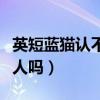 英短藍(lán)貓認(rèn)不認(rèn)識(shí)回家的路（英短藍(lán)貓會(huì)認(rèn)主人嗎）