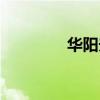 華陽夫人簡介（華陽夫人）
