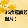 35度冠群芳多少錢一瓶（35冠群芳酒價格及圖片）