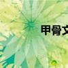 甲骨文翻譯器（甲骨文翻譯）