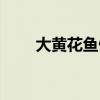 大黃花魚做法清蒸（大黃花魚做法）