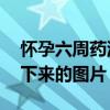 懷孕六周藥流出來的孕囊圖片（40天孕囊掉下來的圖片）