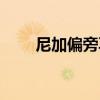 尼加偏旁再組詞（尼加偏旁組新字）