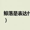 鯨落是表達(dá)什么意思啊（鯨落是表達(dá)什么意思）