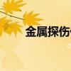 金屬探傷儀測(cè)量范圍（金屬探傷儀）