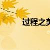 過程之美作文600字初三（過程）
