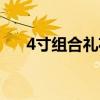 4寸組合禮花（4寸禮花彈多少錢一箱）