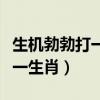 生機勃勃打一生肖精選解釋落實（生機勃勃打一生肖）