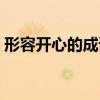 形容開心的成語四字成語（形容開心的成語）