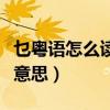 乜粵語(yǔ)怎么讀什么意思?。ㄘ炕浾Z(yǔ)怎么讀什么意思）