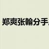 鄭爽張翰分手原因揭秘（鄭爽張翰分手原因）