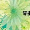 琴棋書(shū)畫(huà)詩(shī)（琴棋書(shū)畫(huà)）