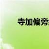 寺加偏旁組新字（去加偏旁組新字）