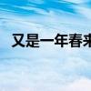 又是一年春來到的全詩（又是一年春來到）
