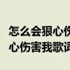 怎么會狠心傷害我歌詞表達的意思（怎么會狠心傷害我歌詞）