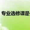 專業(yè)選修課是什么意思（選修課是什么意思）