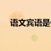 語文賓語是什么意思（賓語是什么意思）