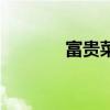 富貴菜可以生吃嗎（富貴菜）