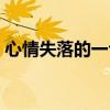 心情失落的一句話（心情失落用一句話表達(dá)）