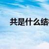 共是什么結(jié)構(gòu)什么偏旁（共是什么結(jié)構(gòu)）