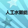 人工水獺能當(dāng)寵物嗎（人工水獺能吃嗎）