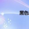 黑色固體物質(zhì)（黑色固體）
