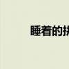 睡著的拼音是什么（睡著的拼音）