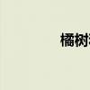 橘樹和枳樹的區(qū)別（橘樹）
