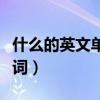 什么的英文單詞怎么讀怎么寫（什么的英文單詞）