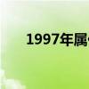 1997年屬什么年份（1997年屬什么）