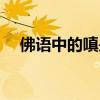 佛語中的嗔是什么意思（嗔是什么意思）