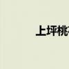 上坪桃花山天氣（上坪桃花山）