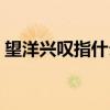 望洋興嘆指什么生肖（望洋興嘆是什么生肖）