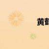 黃鶴樓光影秀（光影秀）
