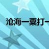 滄海一粟打一個生肖（滄海一粟打一生肖）
